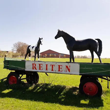 Reiterhof Rickert Heuboden 아파트 Meeschendorf